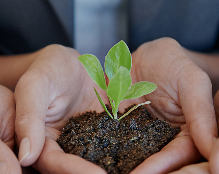 hy590海洋之神检测中心(Macau)股份有限公司-Official website