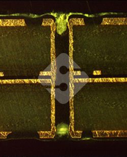 hy590海洋之神检测中心(Macau)股份有限公司-Official website