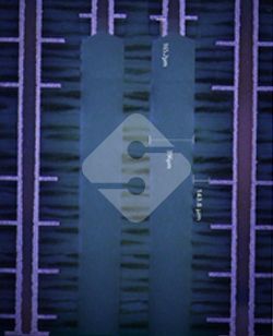 hy590海洋之神检测中心(Macau)股份有限公司-Official website