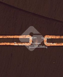 hy590海洋之神检测中心(Macau)股份有限公司-Official website