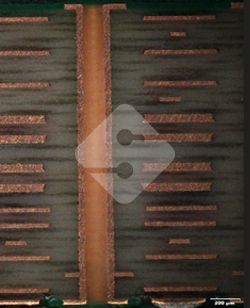 hy590海洋之神检测中心(Macau)股份有限公司-Official website