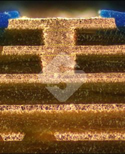 hy590海洋之神检测中心(Macau)股份有限公司-Official website